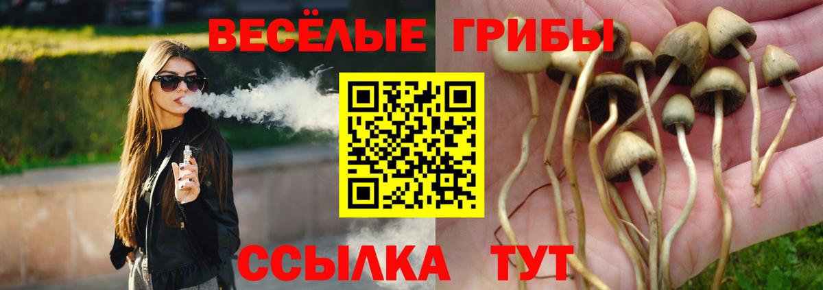 купить наркотики сайты  Вход с VPN  Железногорск  Галлюциногенные грибы мухоморы  Галлюциногенные грибы мухоморы 